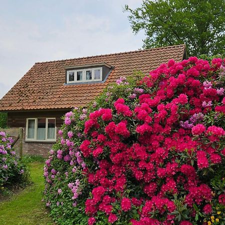 Holiday Home Countryside, Langbroek / Doorn Ngoại thất bức ảnh