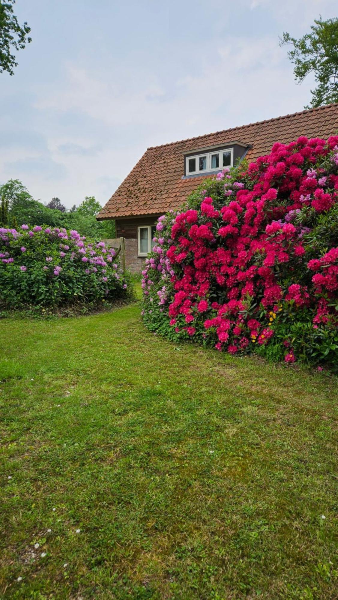 Holiday Home Countryside, Langbroek / Doorn Ngoại thất bức ảnh