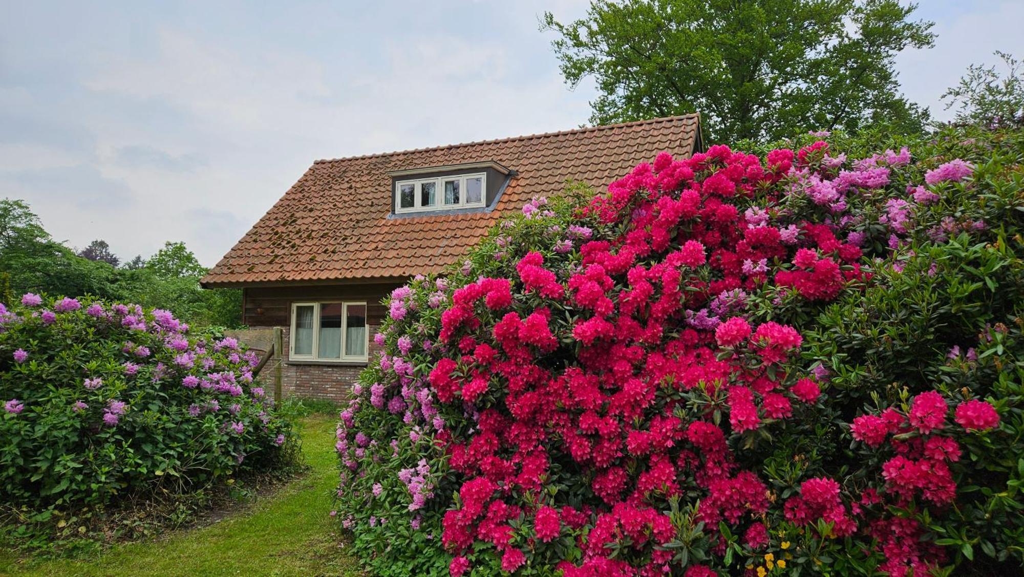 Holiday Home Countryside, Langbroek / Doorn Ngoại thất bức ảnh